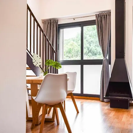 Loft Centrico Y Acogedor * Besalu